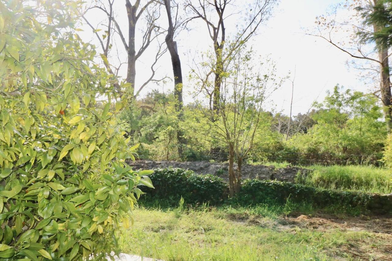Gites Terra Di A Bravona Linguizzetta Exterior photo